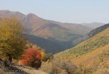گزارش تصویری از فصل پاییز در جنگل ابر شاهرود